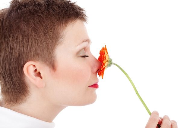 Piel hidratada, piel bella y equilibrada. Tratamiento profundo de belleza